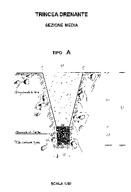 trincea1.gif (3185 byte)