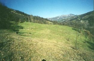ruspatura1adopo.JPG (15999 byte)
