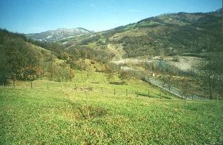 ruspatura1bdopo.JPG (18404 byte)
